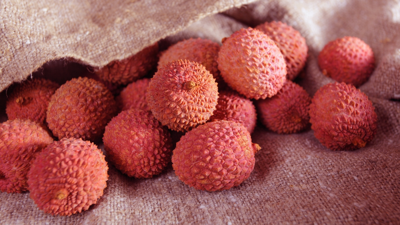 Litchi Blog