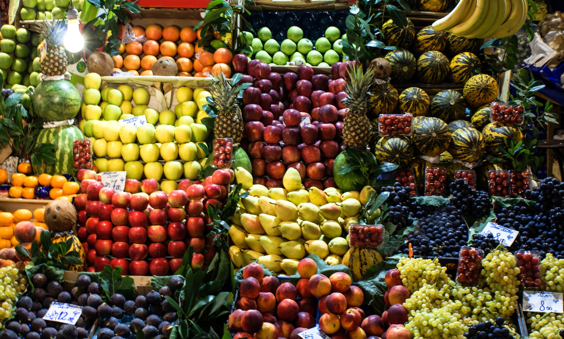 Organic Vegetables