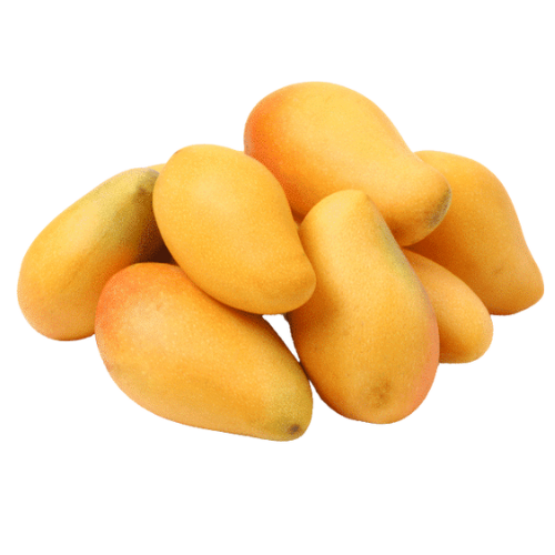 Alphonso Mango