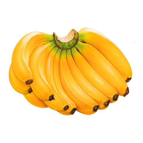G9 Banana