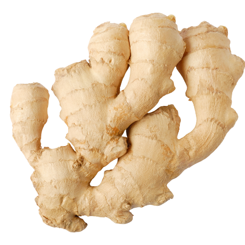 Ginger