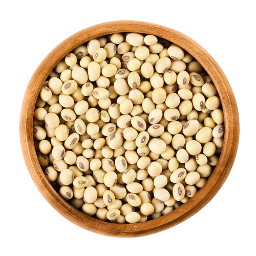 Soya Bean
