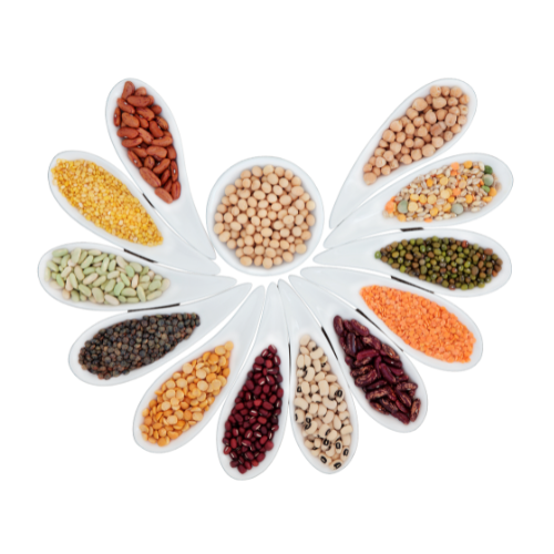 pulses icon